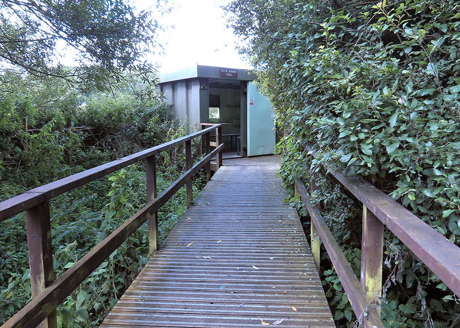 Ramp Access to the Duck Marsh Hide