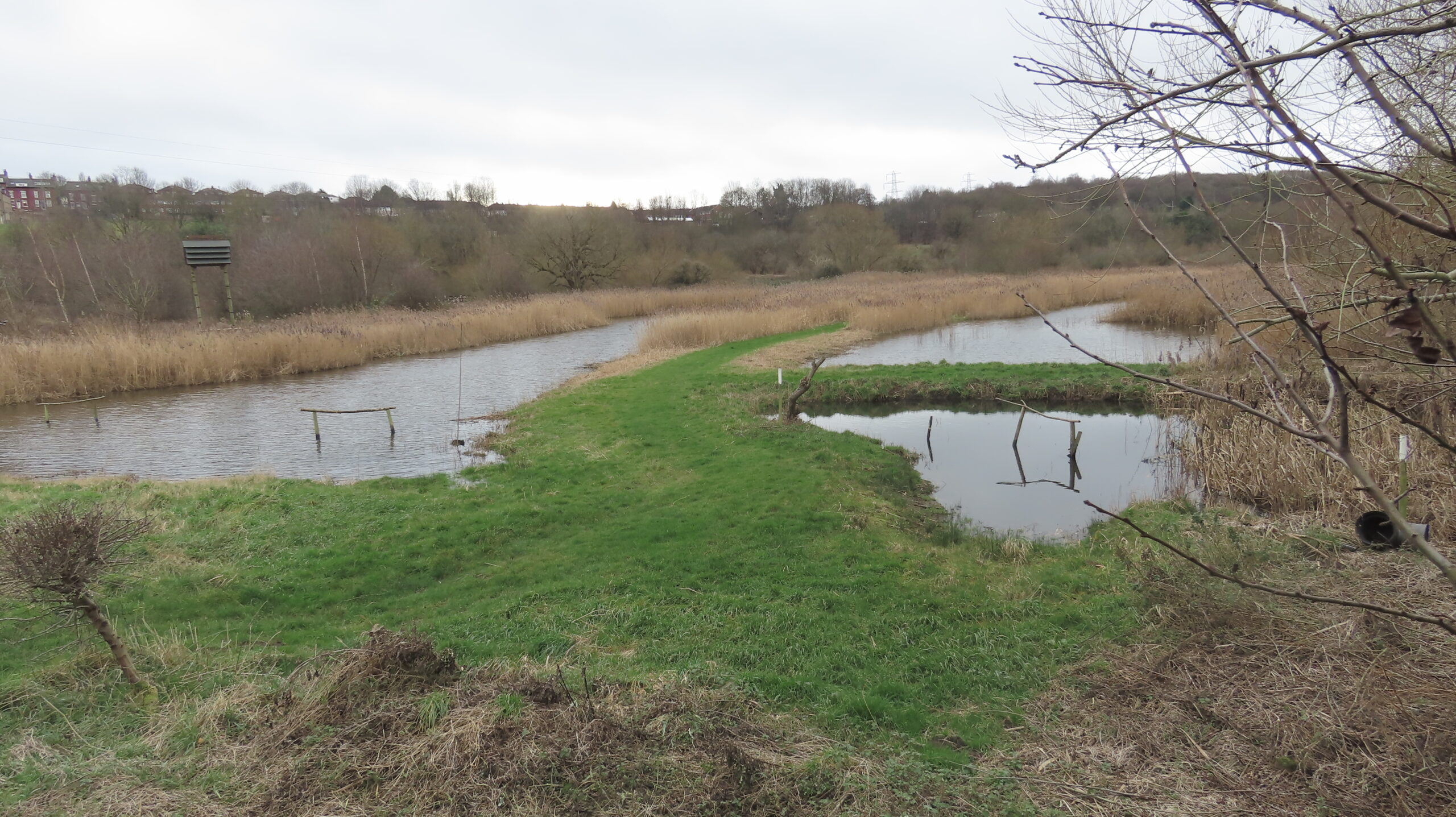 Reedbeds