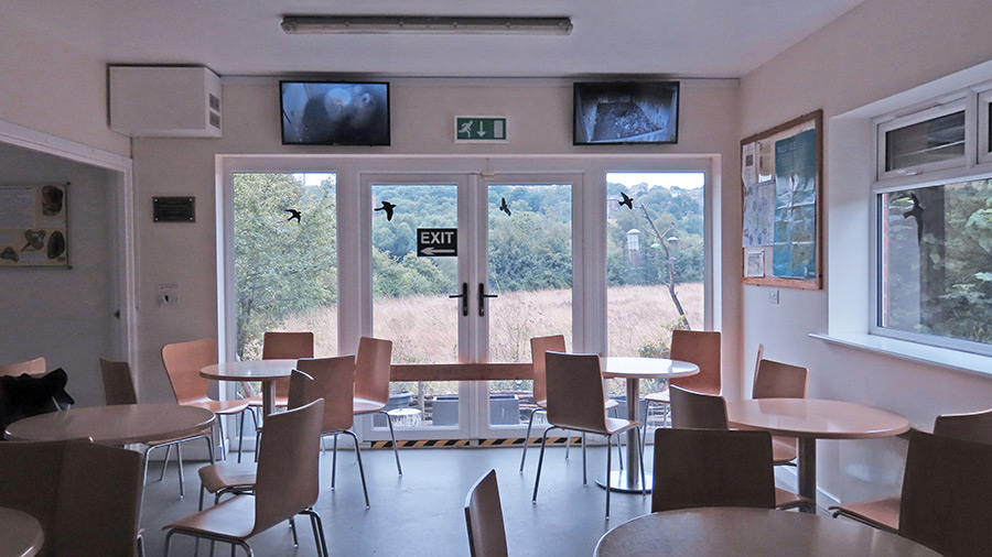 Rodley Nature Reserve Visitor Centre