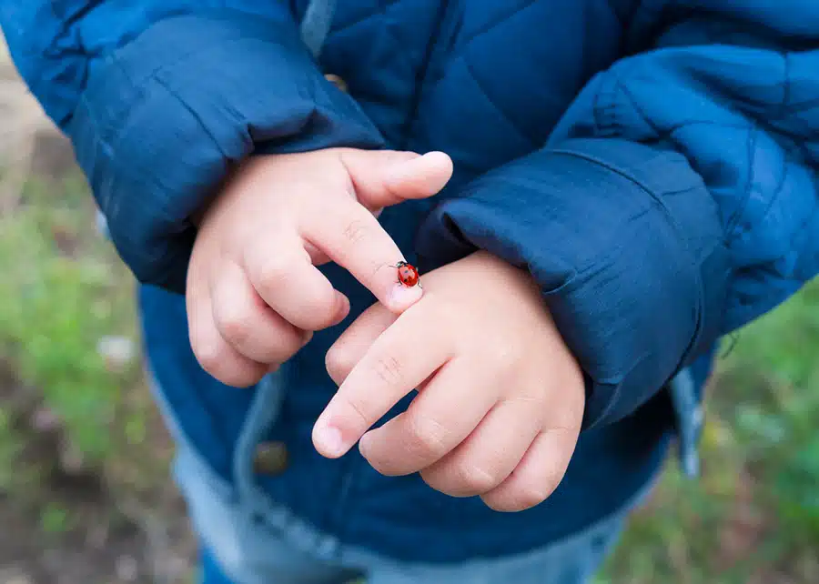 Childs with a Ladybird