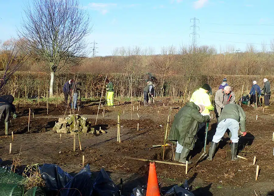 Volunteers Tree Planting