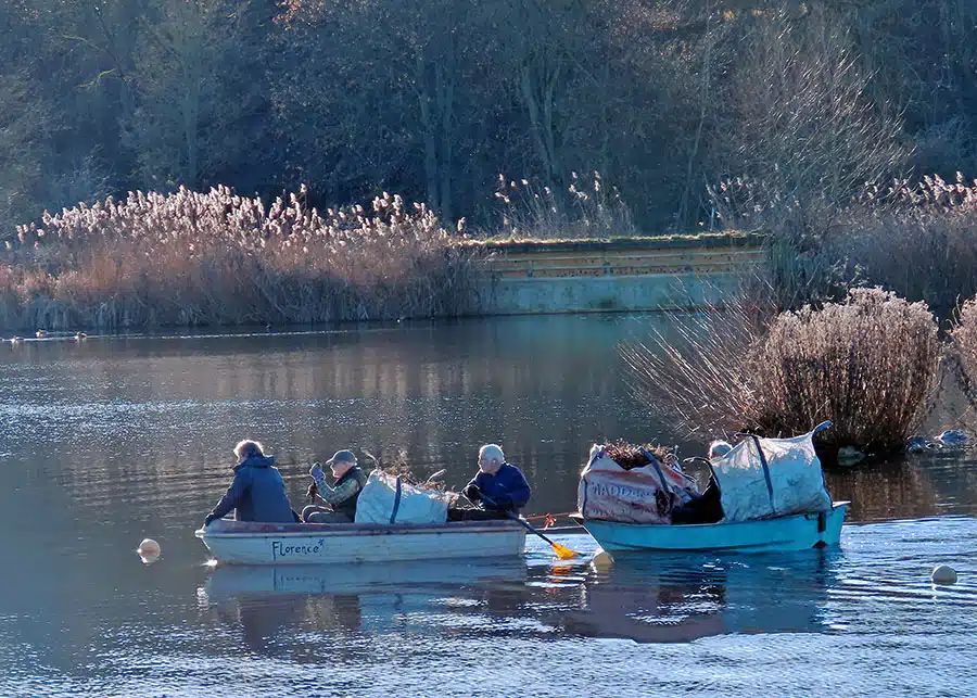 Volunteers removing vegetation from the lagoon